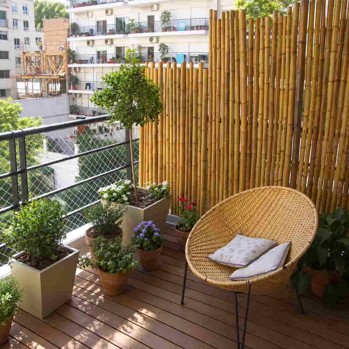 Bambu para decorar una terraza