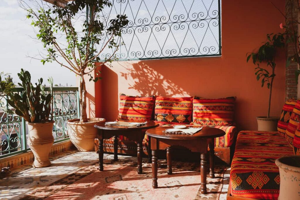 Plantas para poner en una terraza